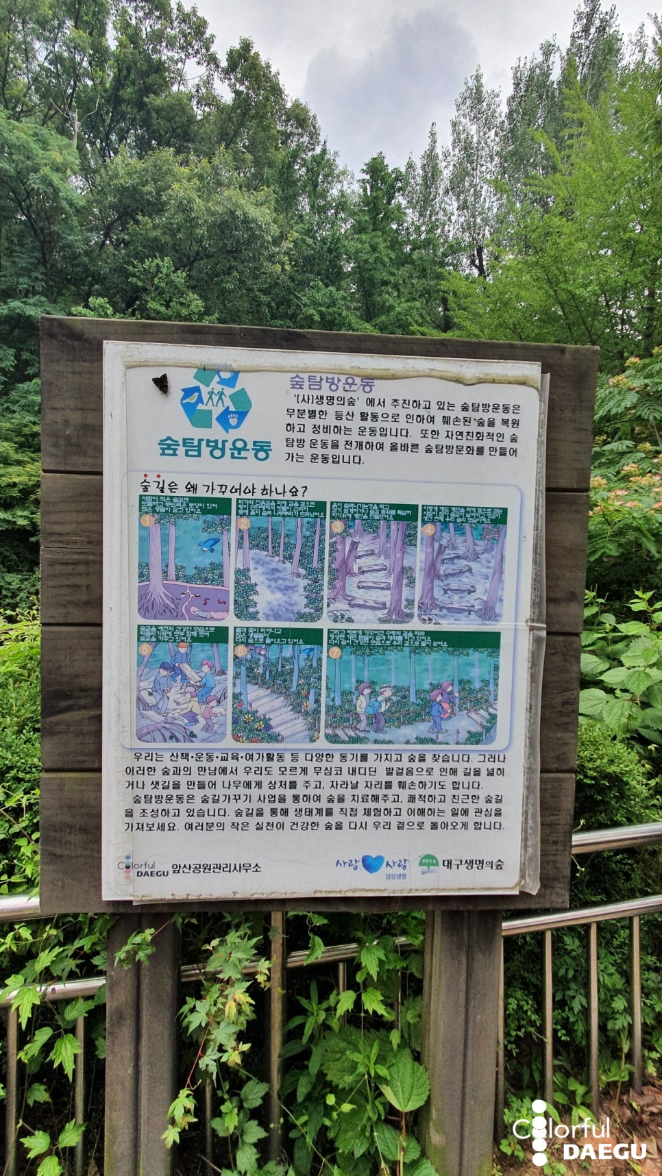 대구숲체험협동조합 이미지