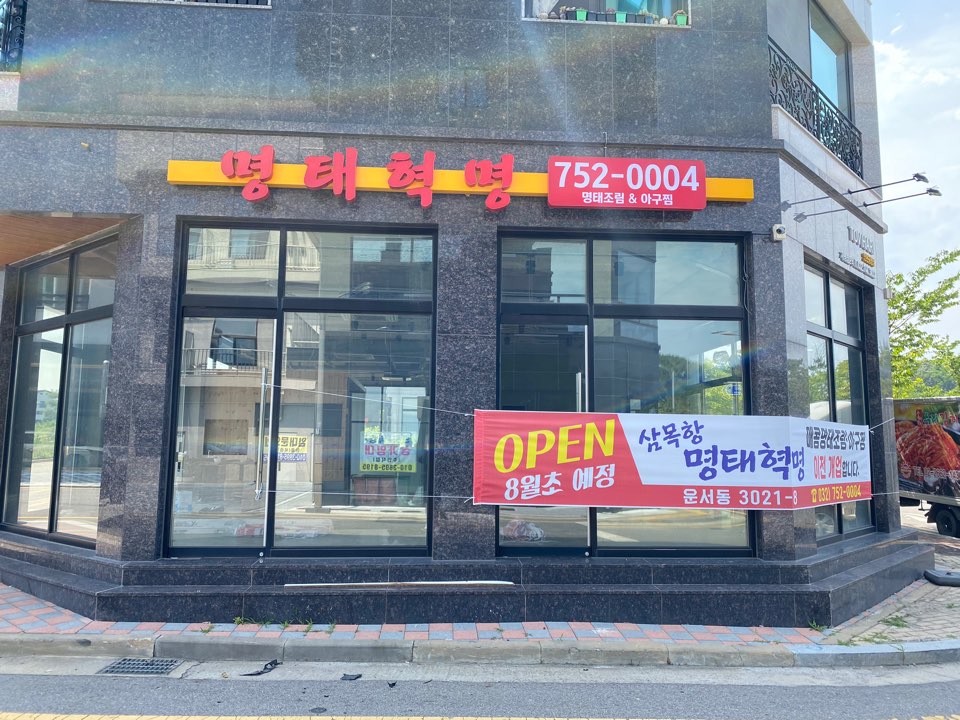 명태혁명 이미지