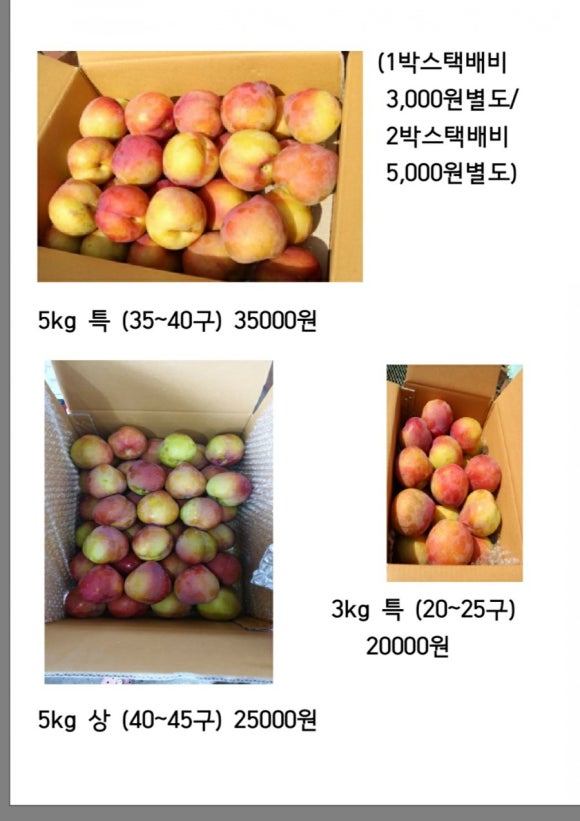 강가네농장 이미지