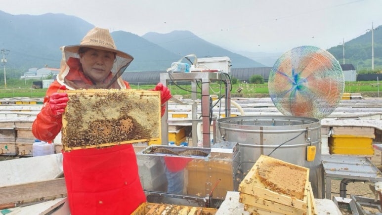 창녕꿀벌농장 이미지
