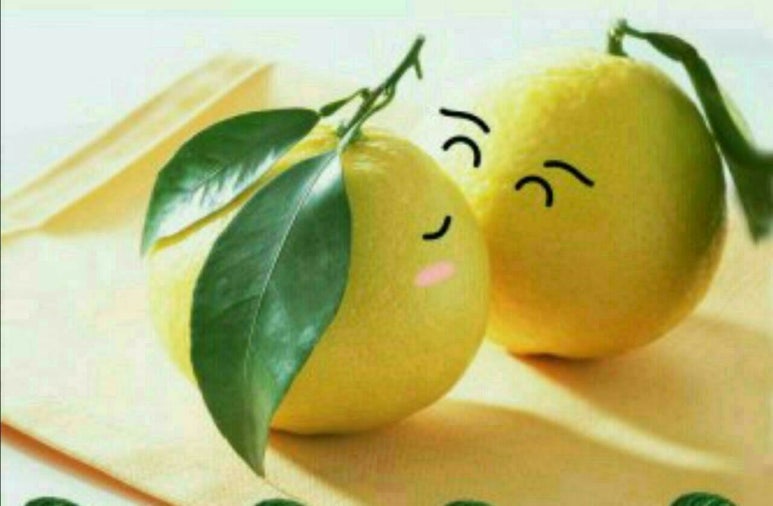 정글로벌 이미지