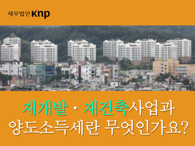 세무법인안국 이미지