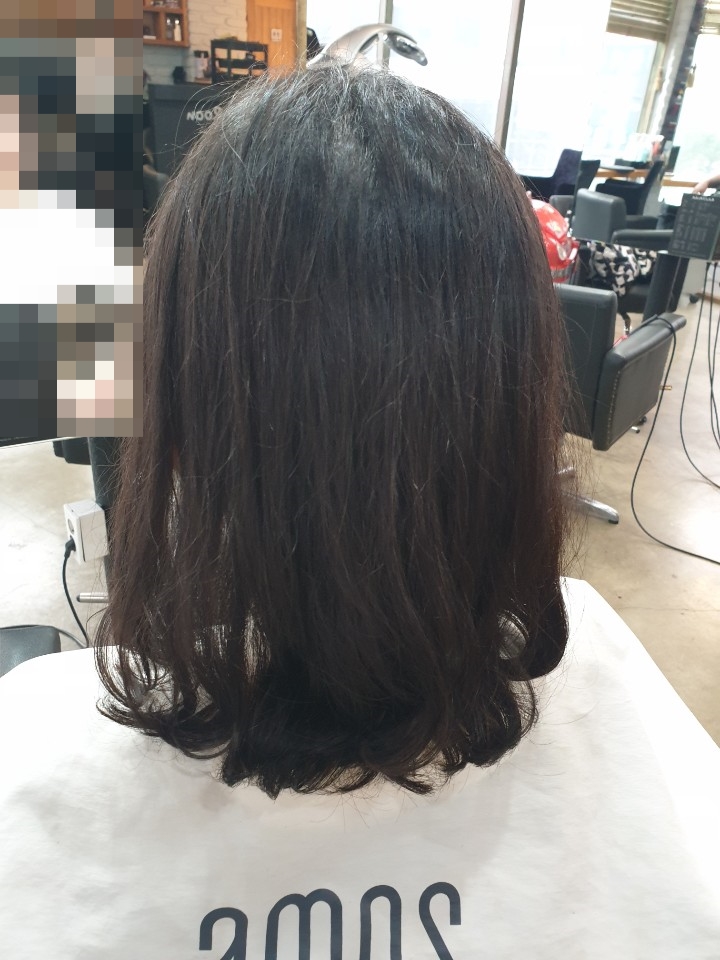하니헤어클럽 이미지