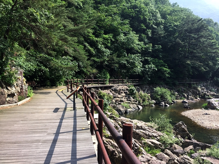 금평마트 이미지