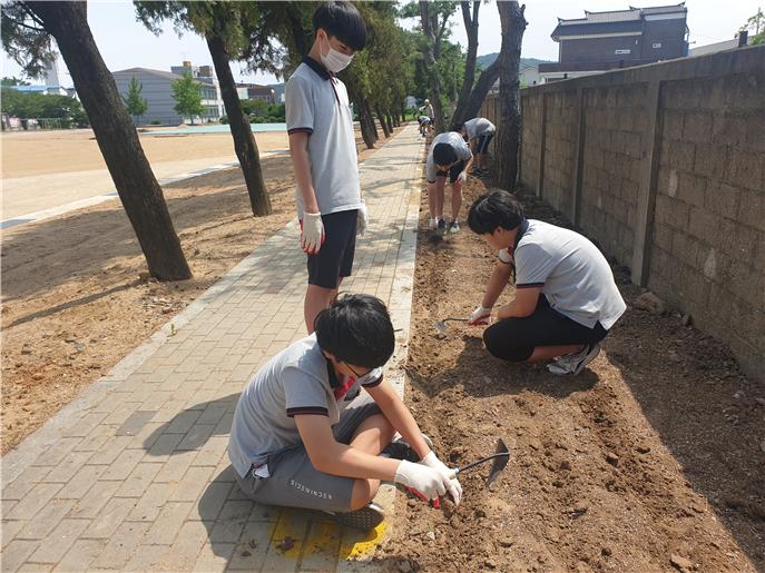 경북농약종묘사 이미지