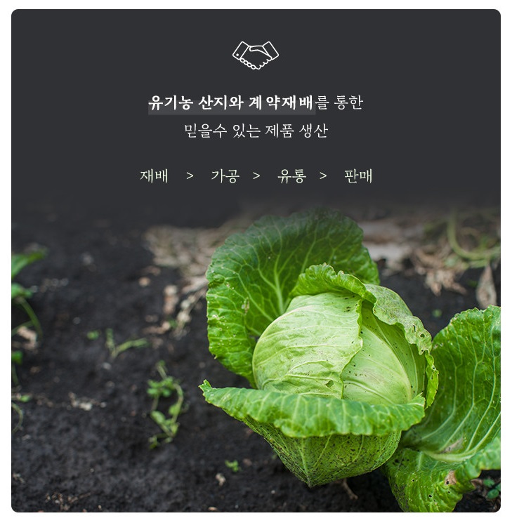 이프몰 이미지