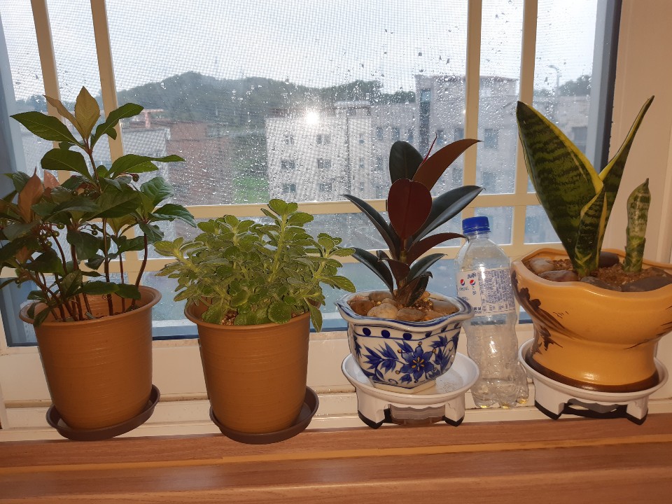 서안산정비 이미지