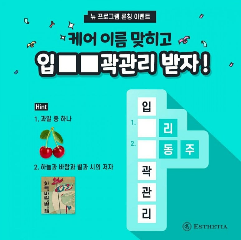 에스테티아세종소담 이미지