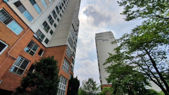 세무법인다솔위드 이미지