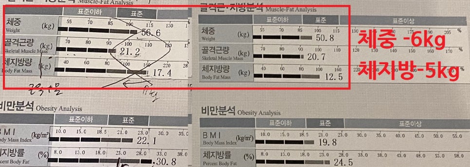 로얄짐 이미지