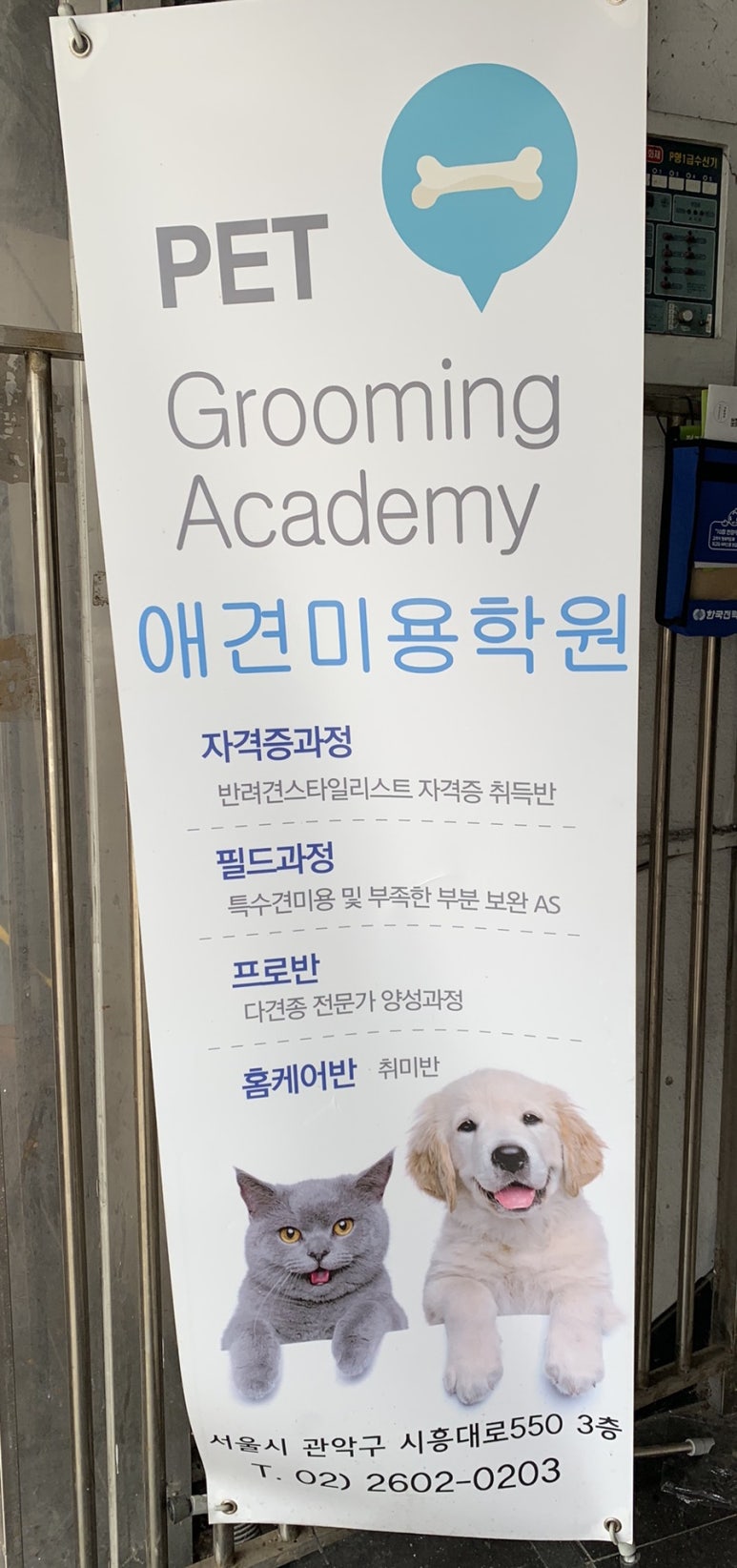 큐브애견미용학원 이미지