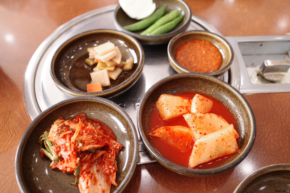 참뼈 이미지