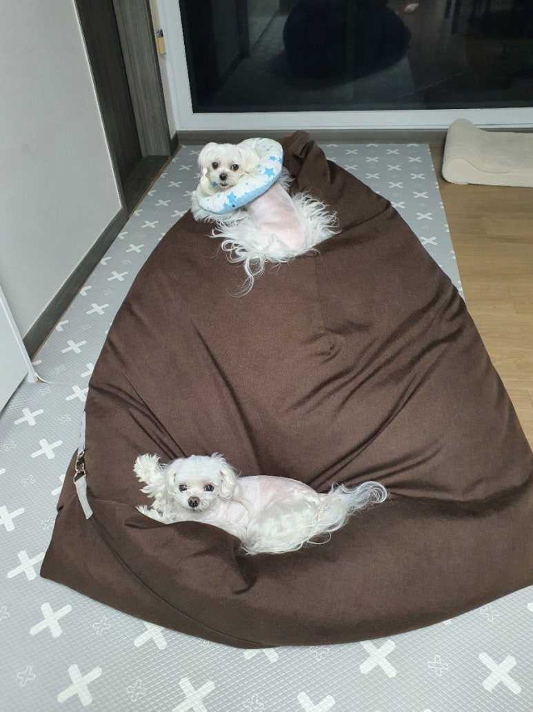코레마 이미지