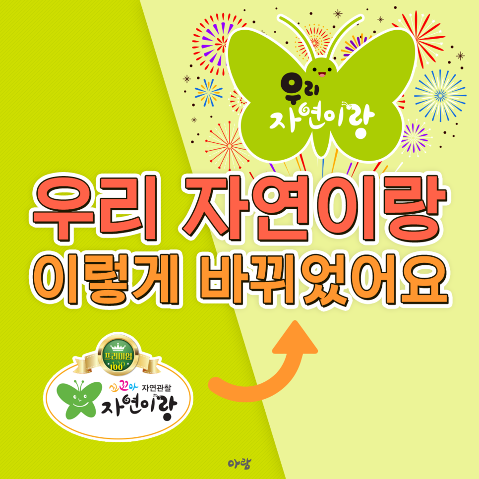 수 자연 이미지