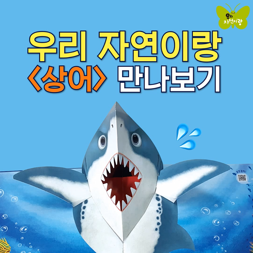 수 자연 이미지