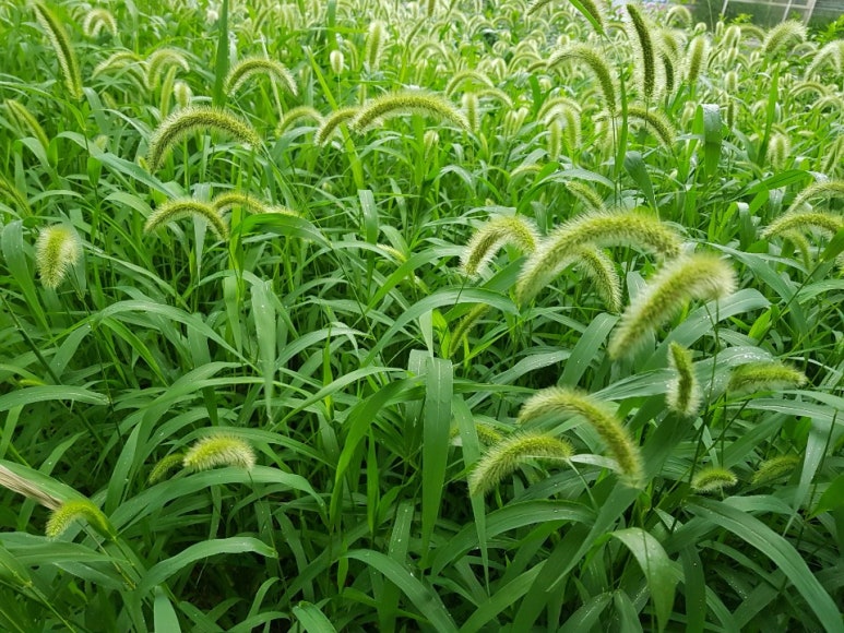 천둥마트 이미지