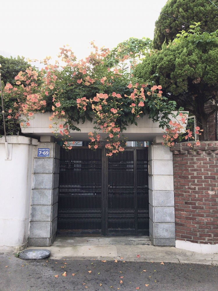레바논버거 이미지