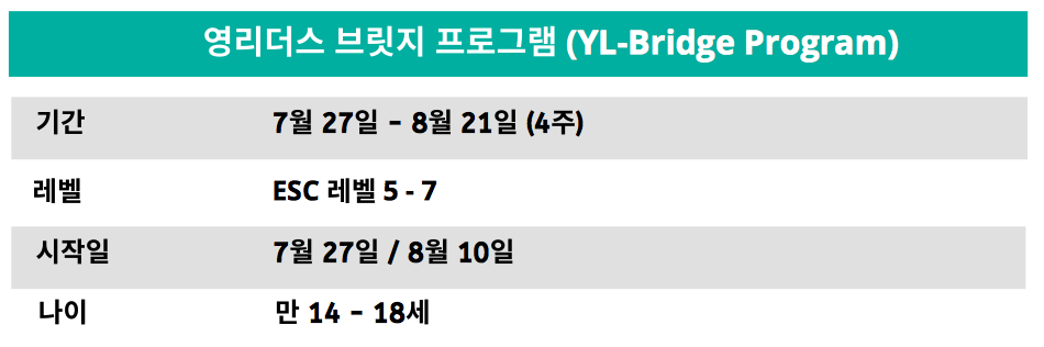 영브릿지 이미지