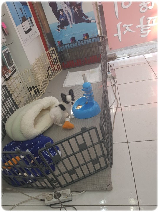 폰컴퍼니 이미지