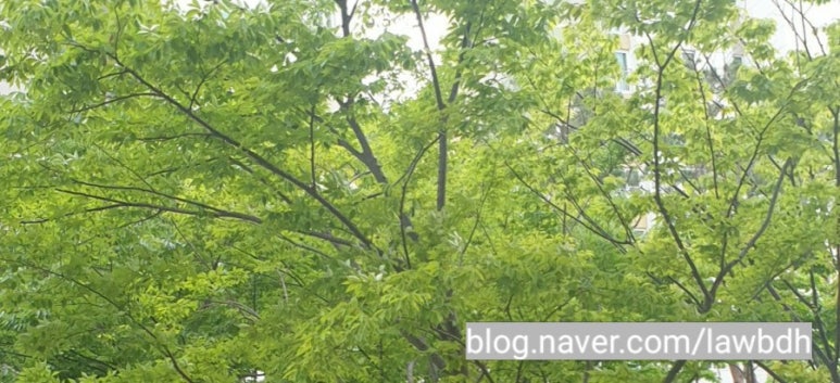 배동환변호사법률사무소 이미지