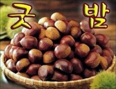 어멍생고기 이미지