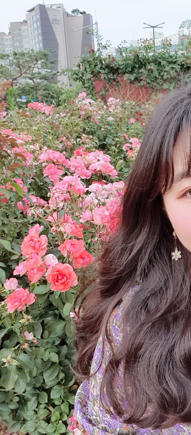 옐블링 이미지