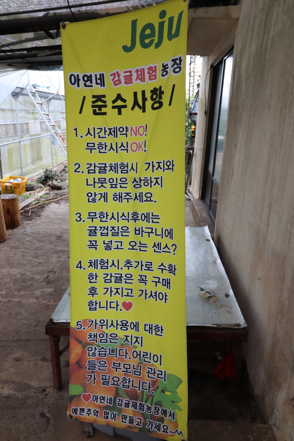 아연네감귤체험농장 이미지