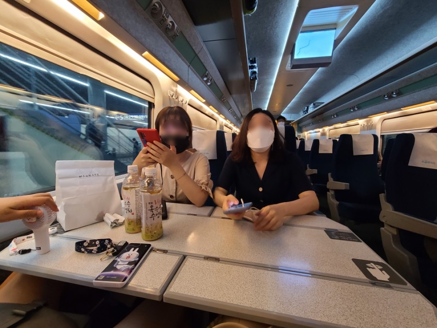 메그네이트비 이미지