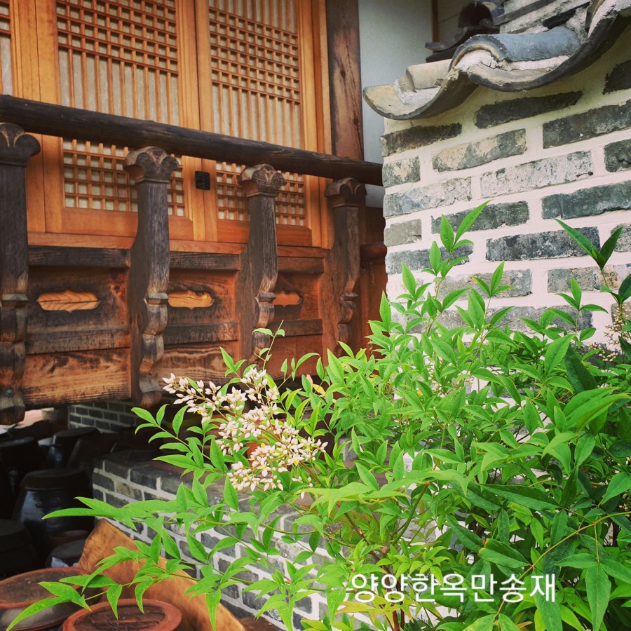 오색한옥펜션 이미지