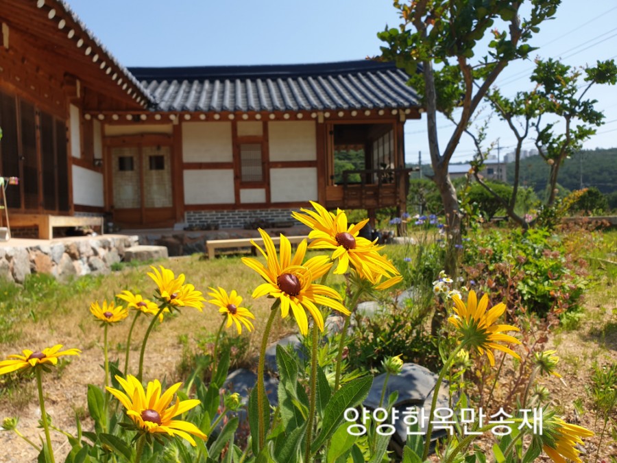오색한옥펜션 이미지
