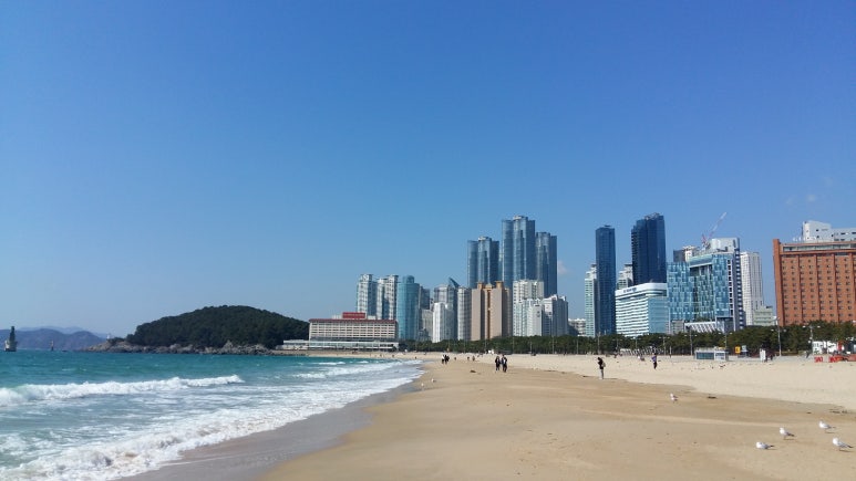 이원복기타 이미지