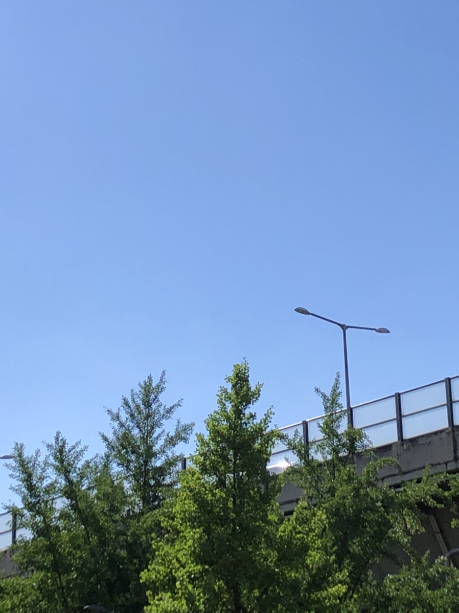 다니따 이미지