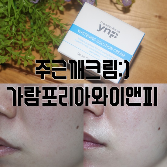 와이앤피 이미지