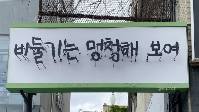 비둘기는멍청해보여 이미지