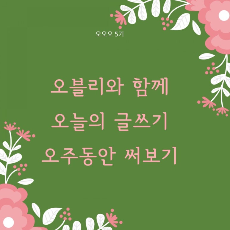 오블리 이미지