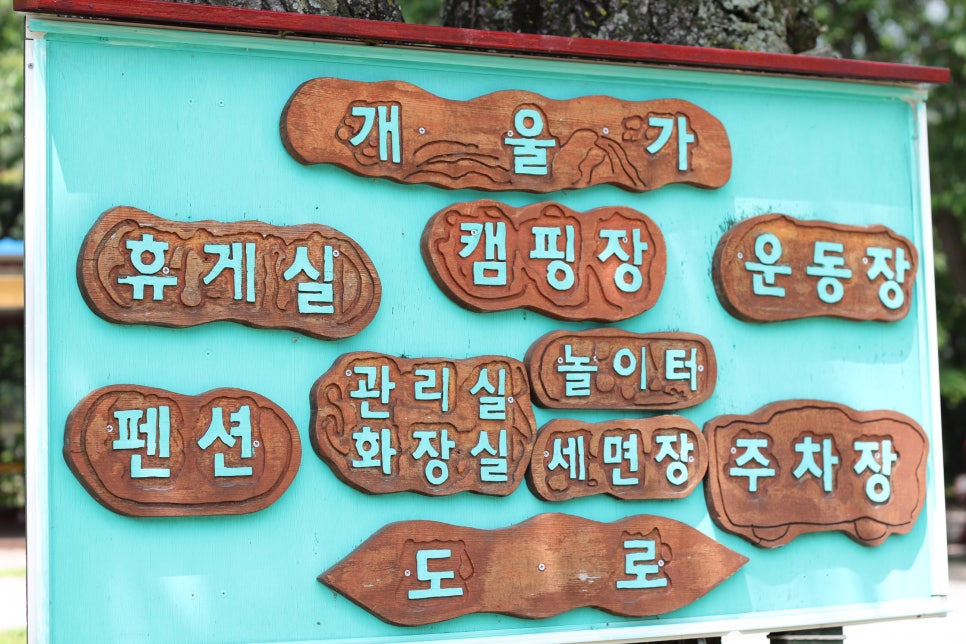 수동시온캠프 이미지