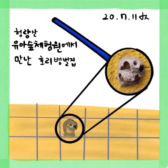 청량산 유아숲체험원 이미지