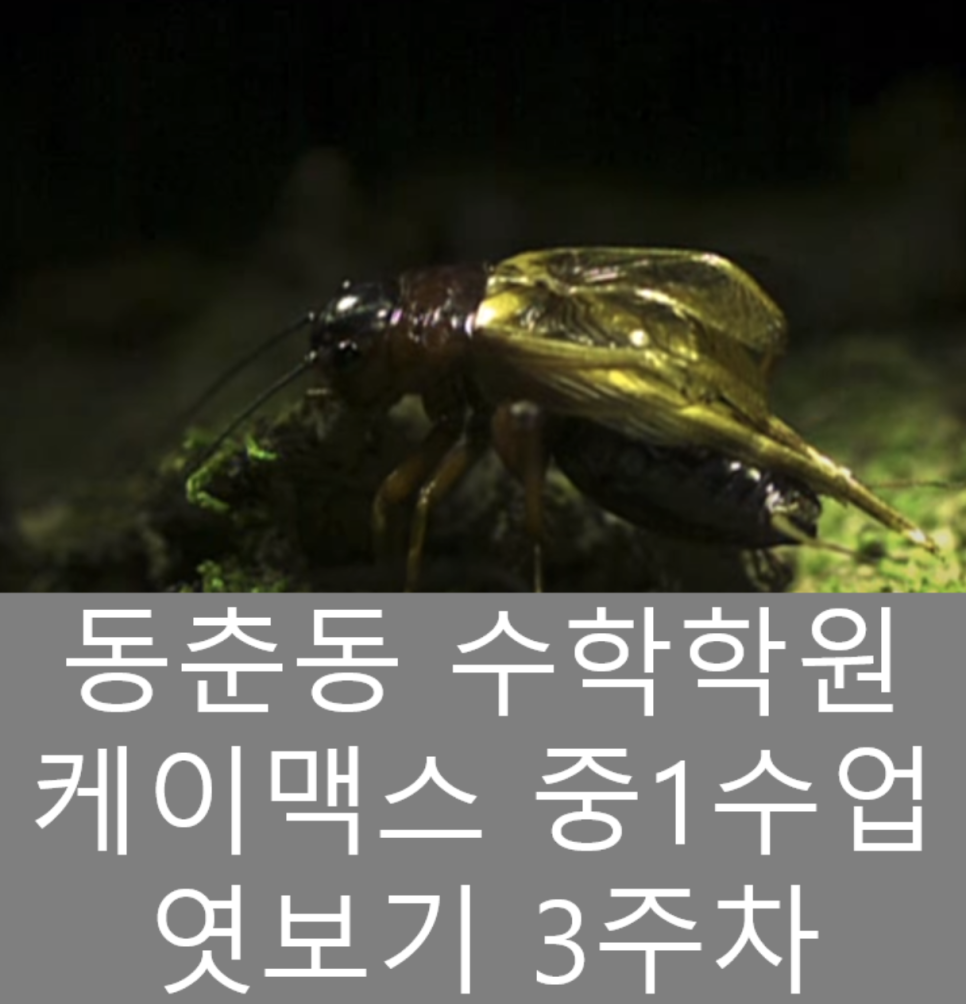 (주)케이맥스 이미지
