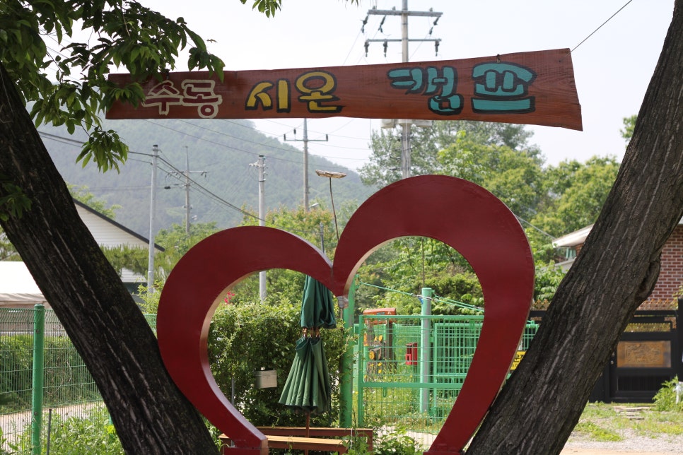 수동시온캠프 이미지