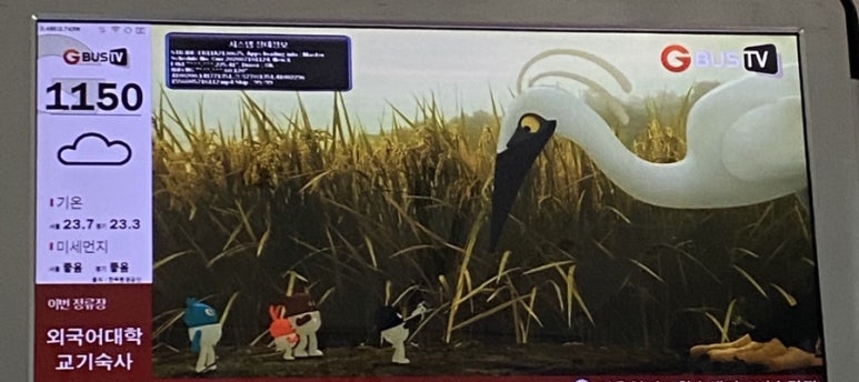 외대갈매기 이미지