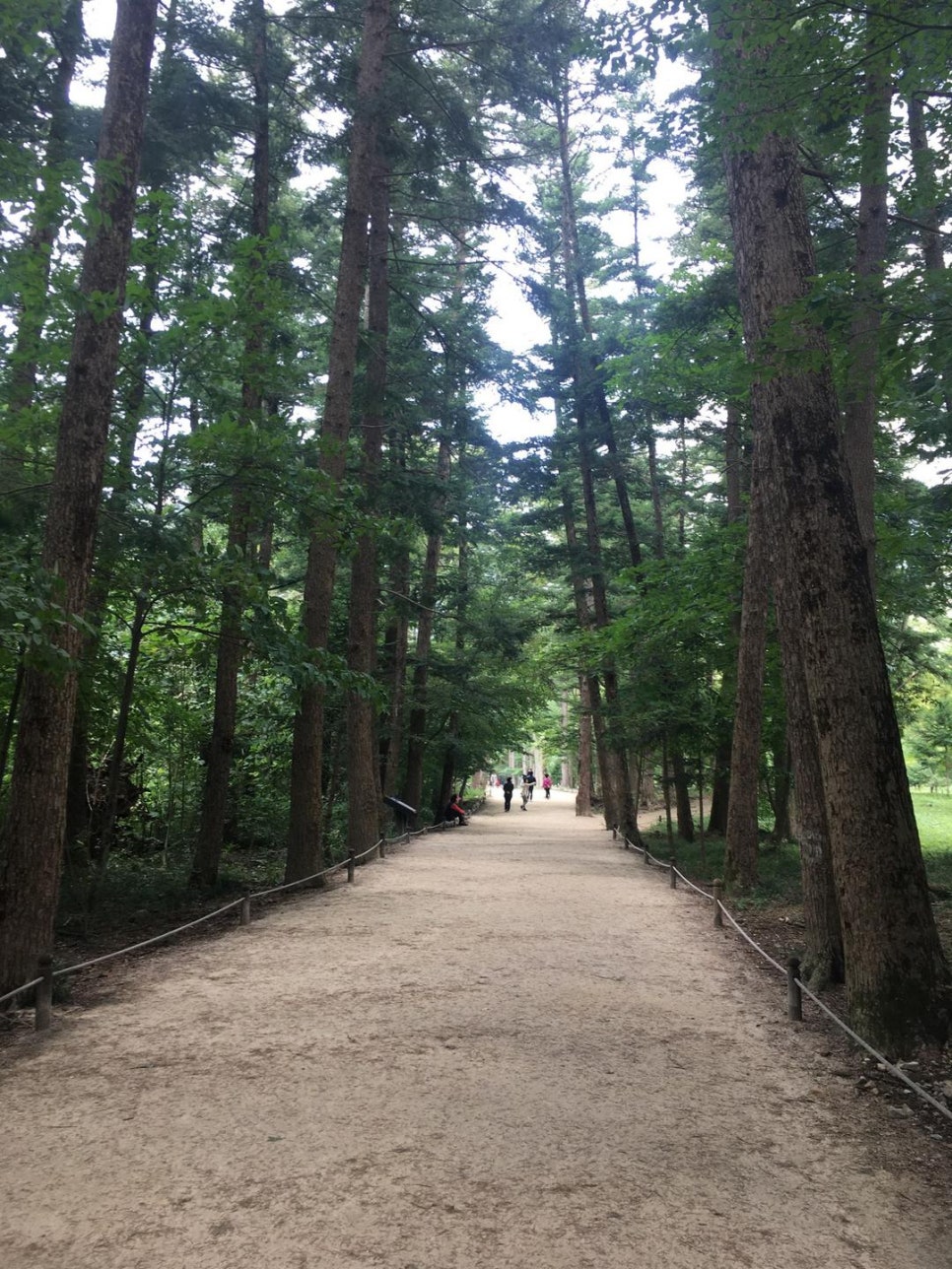 마실길 걷는 달팽이 농장 이미지