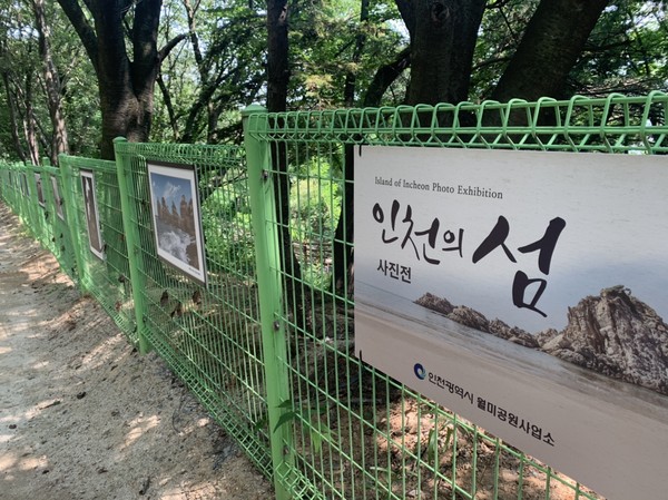 숲속갤러리 이미지