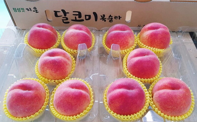 동호농장달코미복숭아 이미지