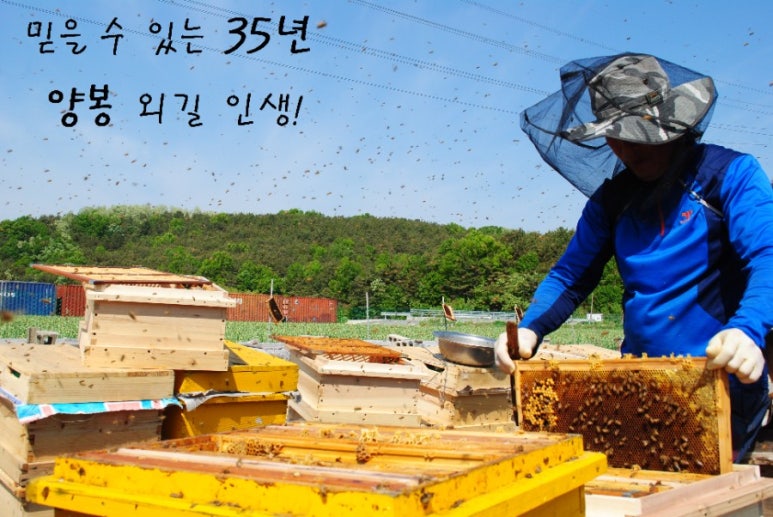 창녕꿀벌농장 이미지