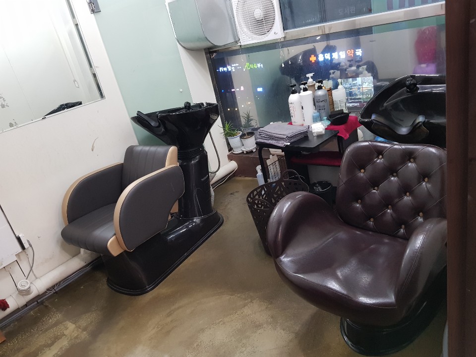 비너스헤어 이미지