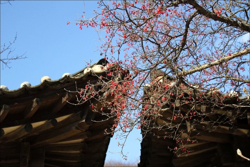 인정(人情) 이미지