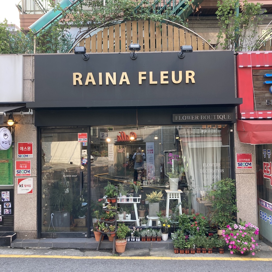 레이나플레르 이미지