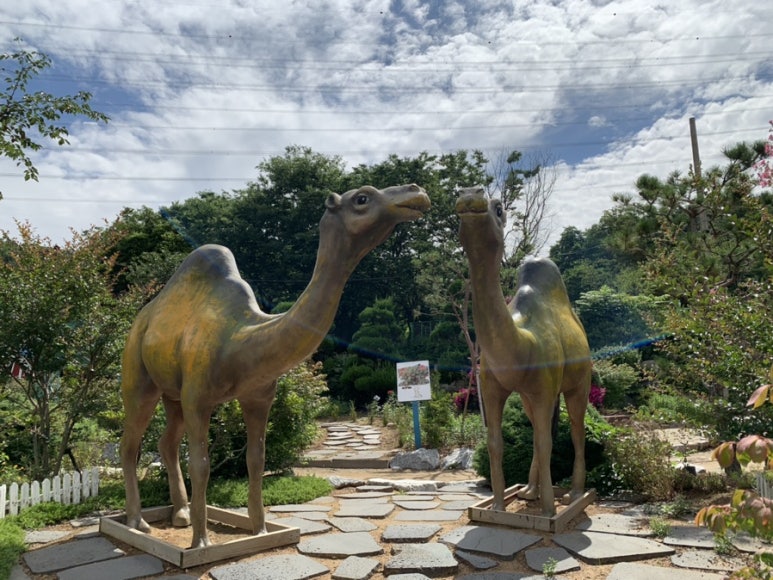 용도수목원 이미지
