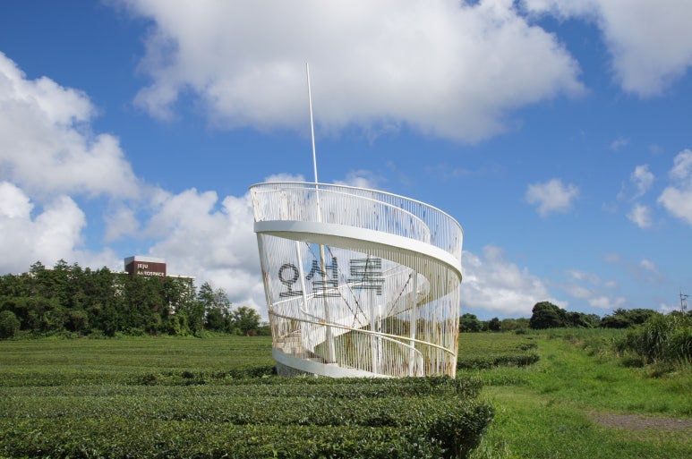 오설록티뮤지엄 이미지