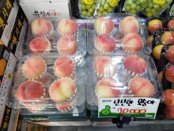 총각네수지 이미지